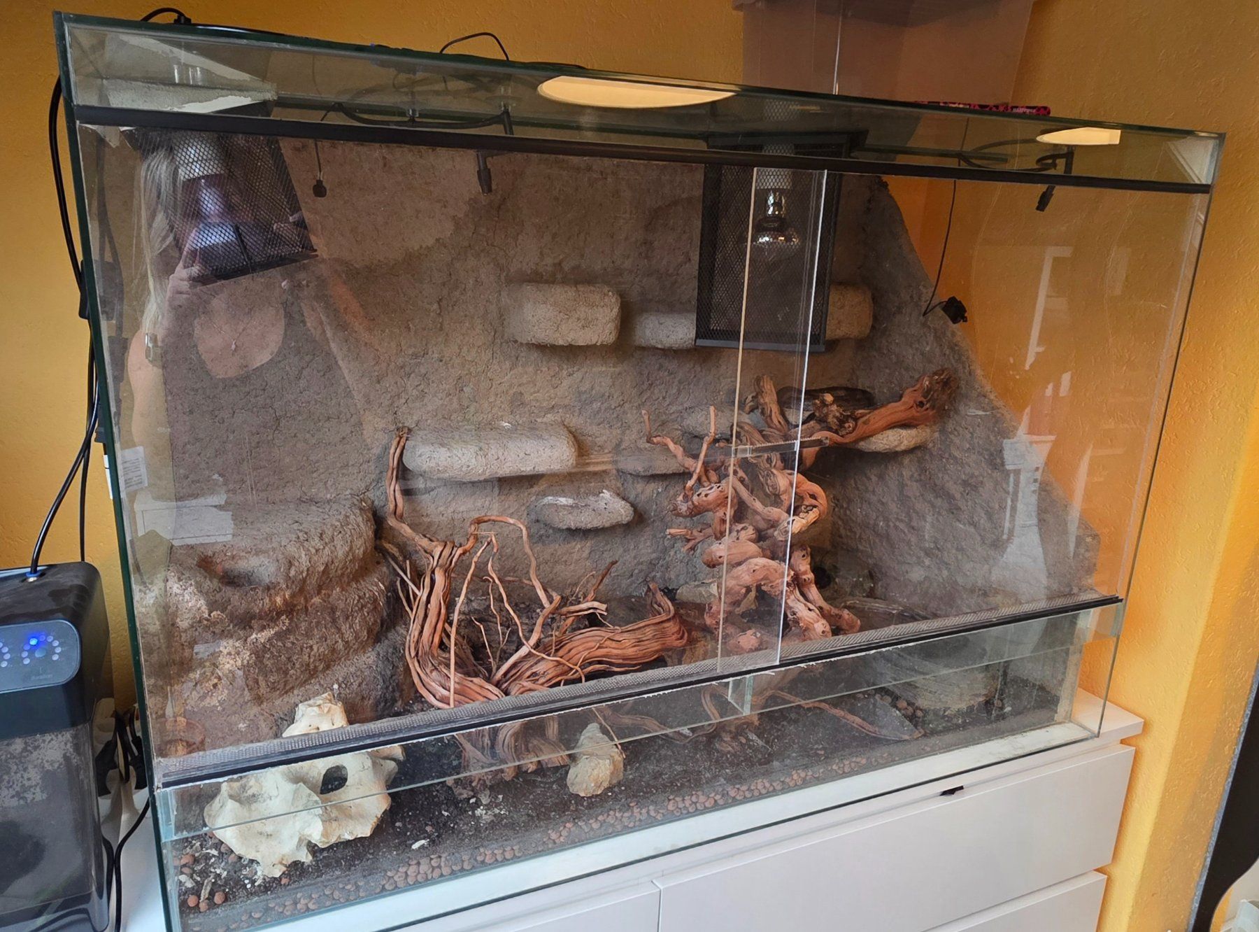 Terrariums: Terarrium inkl. Schlange – D'occasion à Bettenhausen par Van4 2