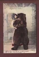 BERN - Tracht und… Bär - 1905