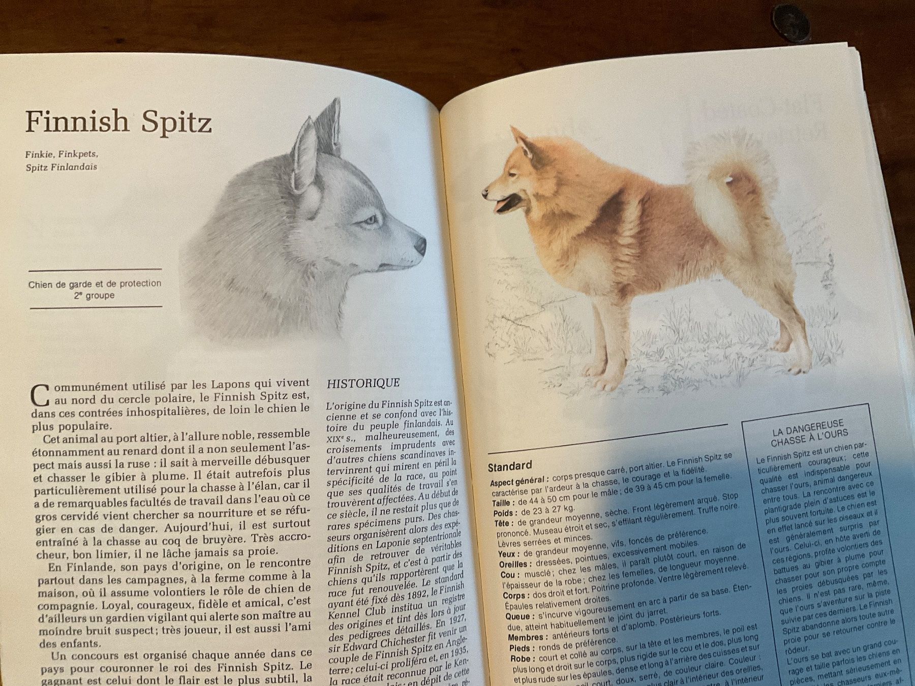 Livres: Guide des Chiens Sélection Reader's Digest – D'occasion à Avenches par Lactobacille 1