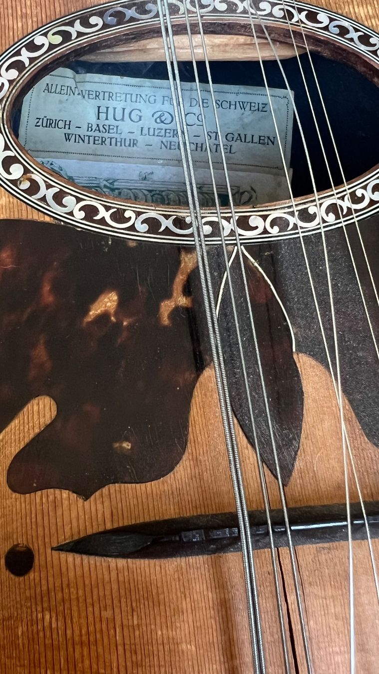 Strumenti musicali: Mandoline Raffaele Calace 1925 – Usato da Luzern venduto da TENDIMO 7