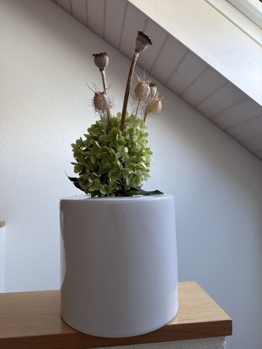 Vasi & Recipienti: Keramik Vase , gross.  – Usato da Biberist venduto da Momo33 1