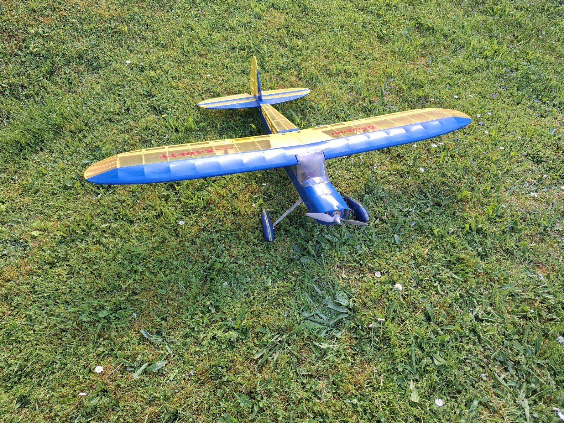 Graupner Modellismo RC: Graupner Kadett Spannweite 1600mm – Usato da Löhningen venduto da reto1999 2