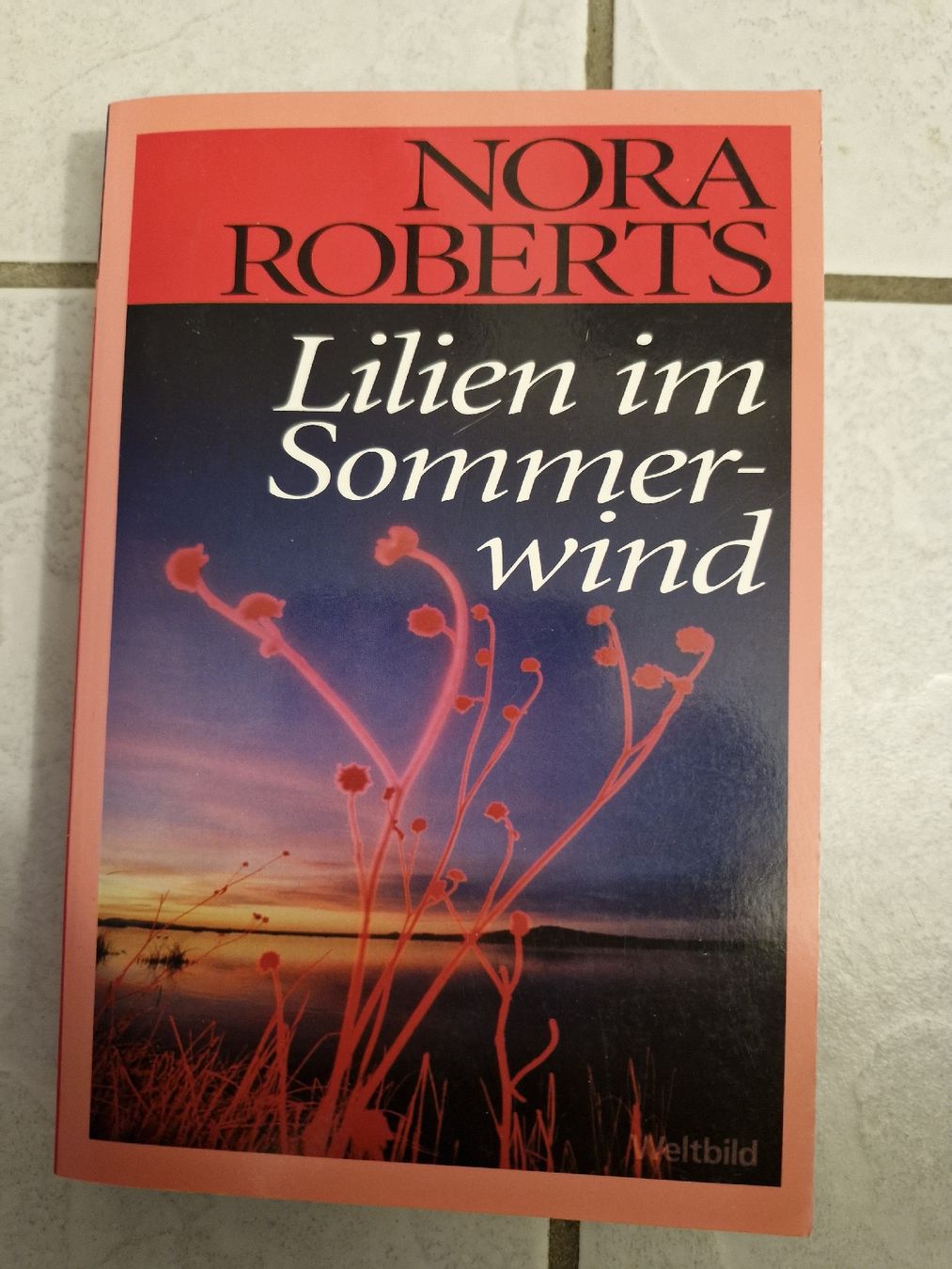 Libri: Nora Roberts Romane Top! – Usato da Frauenfeld venduto da Kasico 7