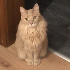 Profile image of nina-mueller