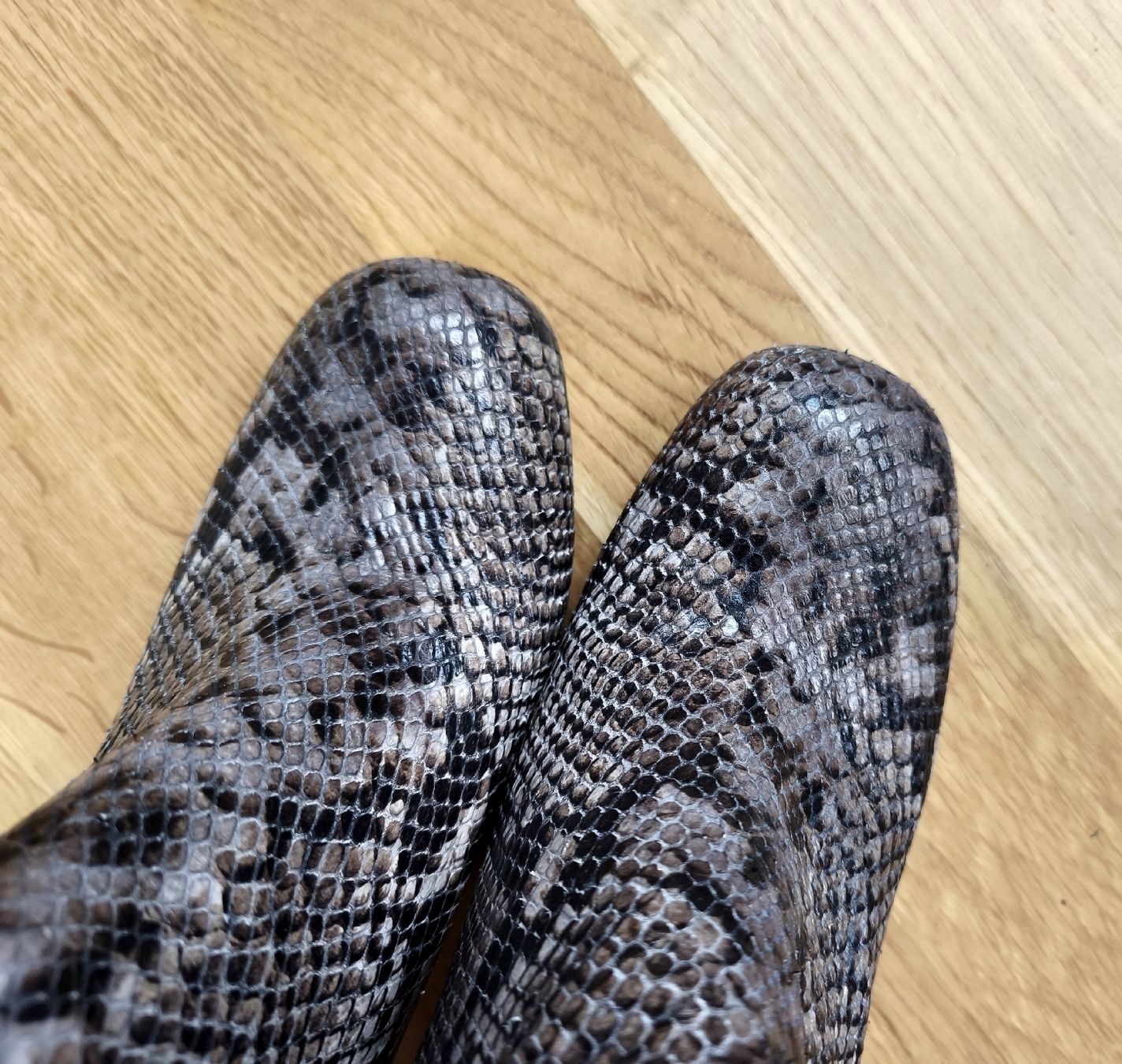Scarpe da donna: Schlangeleder Schuhe Gr. 38 Pasito – Usato da Winterthur venduto da kat_9fqy 6