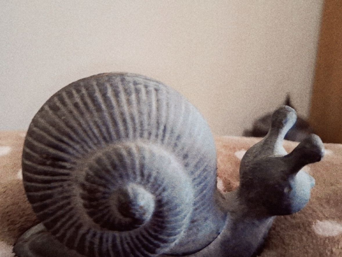 Tutte le decorazioni: Deko Schnecke grau Beton? für Garten oder Haus – Nuovo (secondo la descrizione) da spreitenbach venduto da lumbalplatte 1