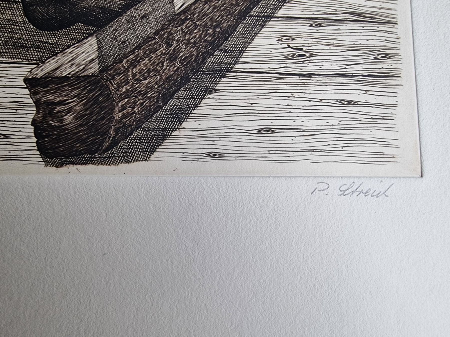 Grafica & Litografie: PETER STREICH RADIERUNG SIGNIERT NUMMERIERT – Usato da Gersau venduto da grafik-kunst 3