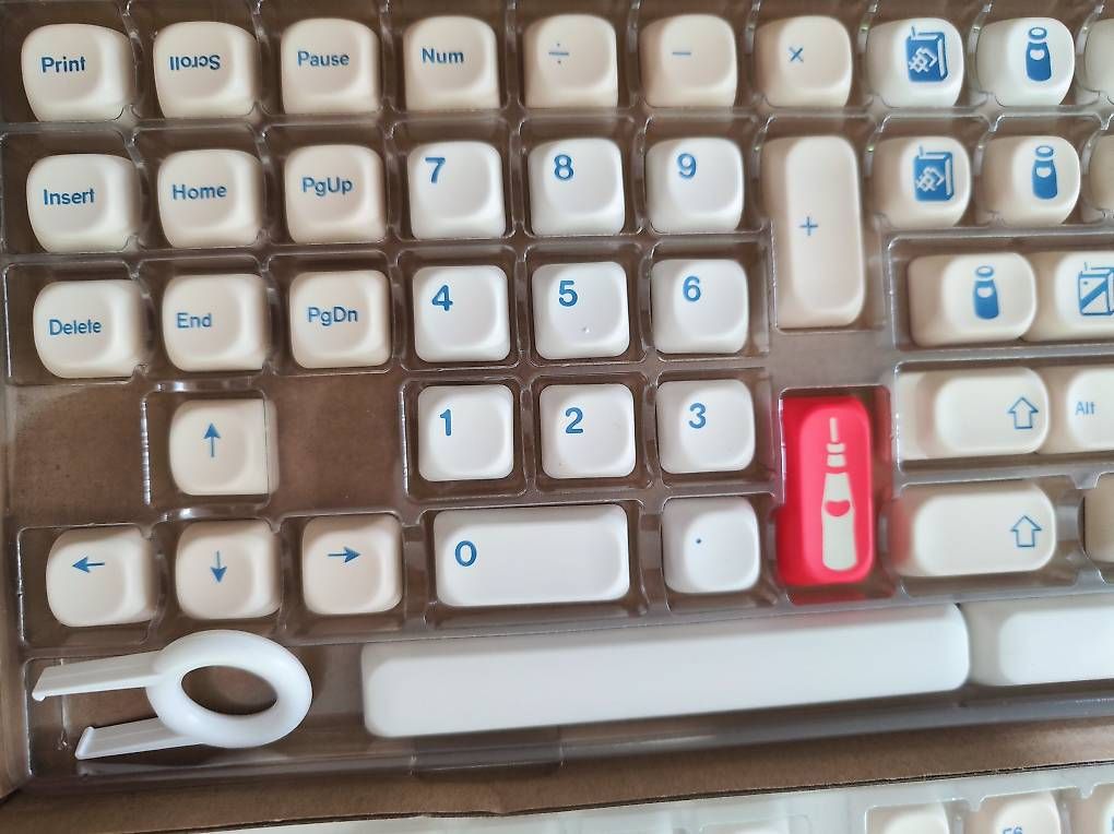 Tastiere: Keycaps KOA Soyamilk – Nuovo e nell'imballaggio originale da Zürich venduto da jur_lbn6 2