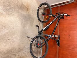 Mountainbike Herren