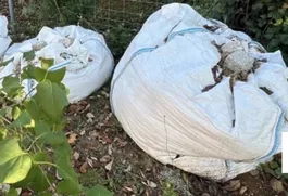 Strassen Kies gratis zum abholen
