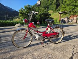 Pony Junior M Sachs 502 inkl. Fahrzeugausweis