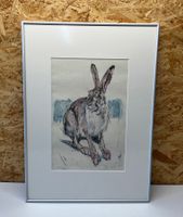 Lithografie / Hase von FRITZ HUG 1969      (ID M343)