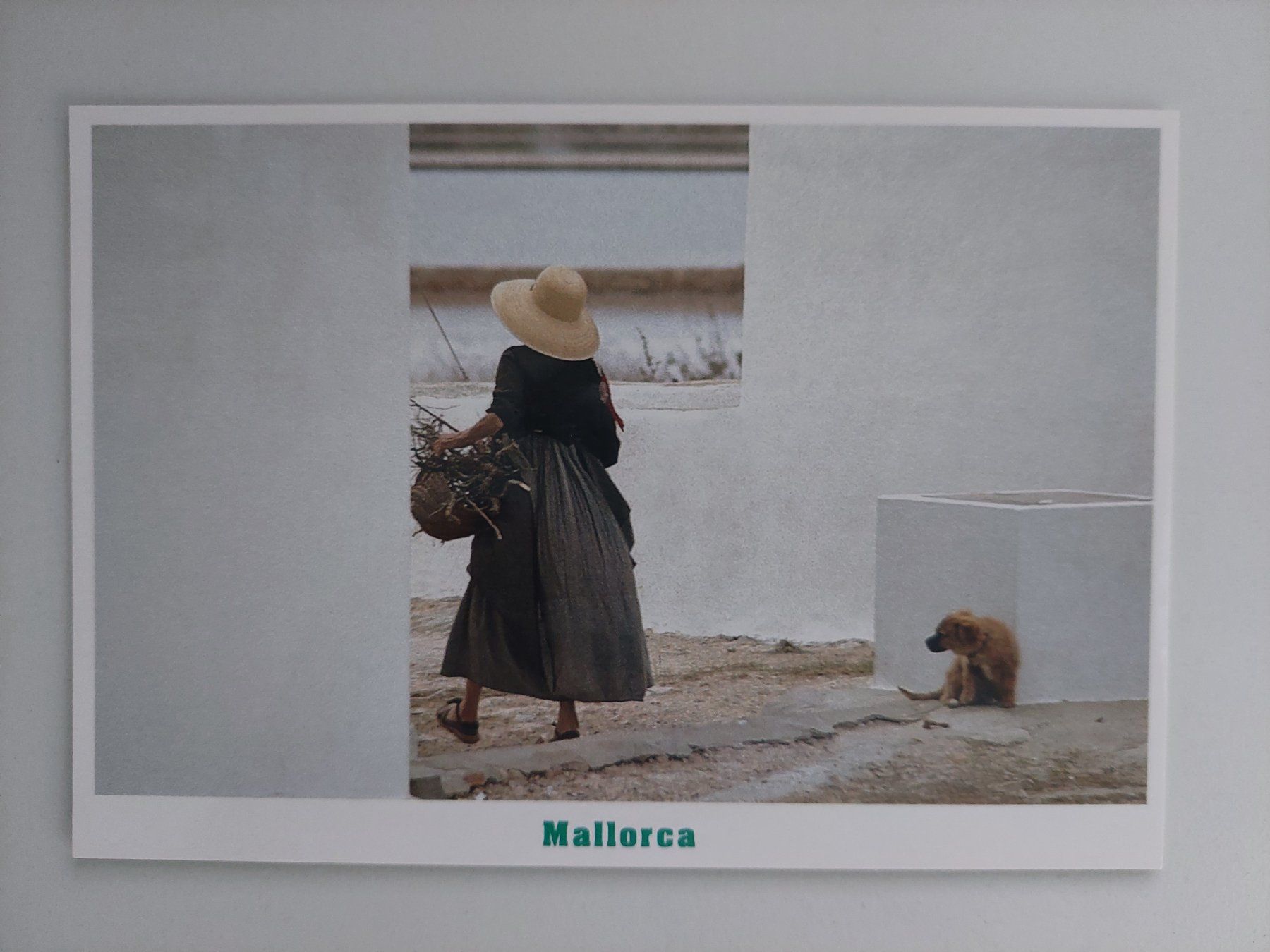 Cartoline postali: Mallorca Vintage Postkarte – Nuovo (secondo la descrizione) da Wil SG venduto da ram_c5j2