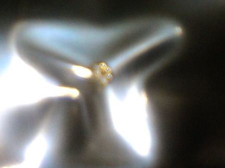 Edelsteine: ECHT DIAMANT,,GELB,,VVS1,,0.1 KARAT – Neu (gemäss Beschreibung) aus Basel von bijoutrie_4