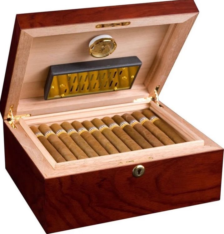 Adorini Triest Deluxe Humidor Kaufen auf Ricardo