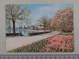 Ouchy - Lausanne, les quais, 1959
