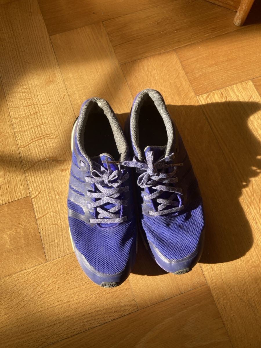 Adidas Damenschuhe: Turnschuhe – Gebraucht aus Zürich von LaraS30