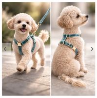 Hunde-Brustgeschirr Gr. S