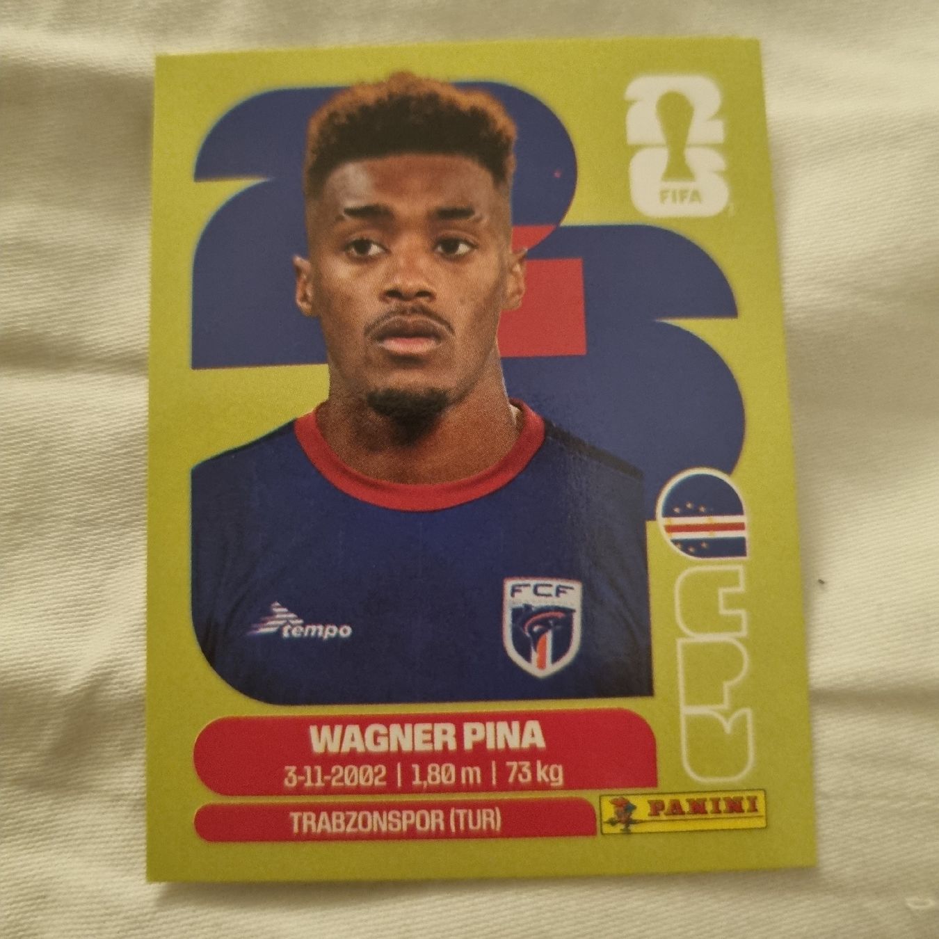 Panini Cartes à collectionner: CPV 7 – Neuf avec emballage d'origine à Monthey par ced_2zby
