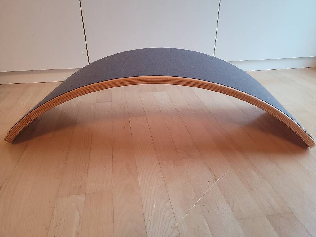 Giocattoli: Wobbelboard/Balancebrett – Usato da Therwil venduto da t_a_n8wj
