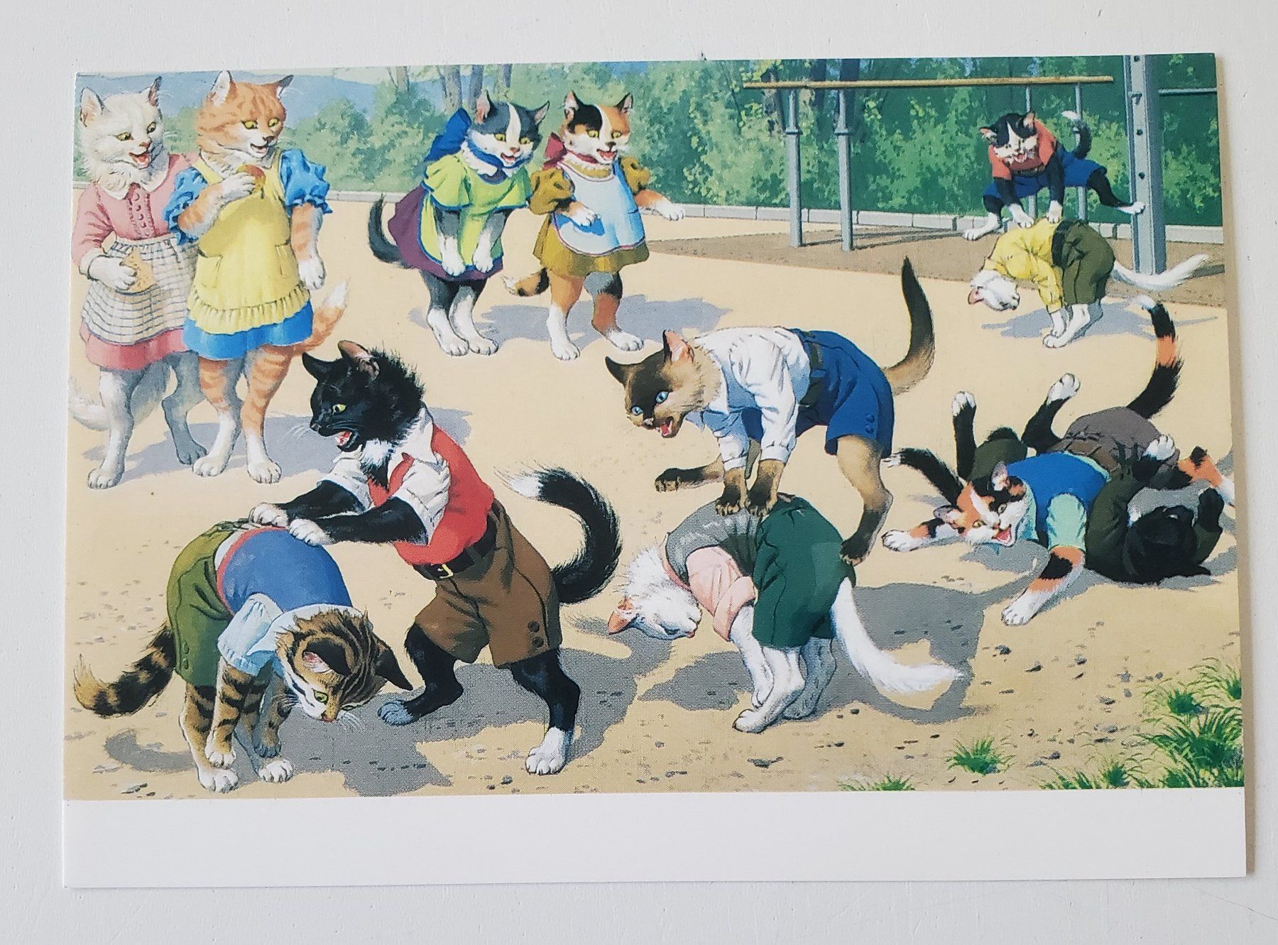 Cartoline postali: AK Katzen Katzenkarte Nr. 101 – Usato da Opfikon venduto da Diversamente