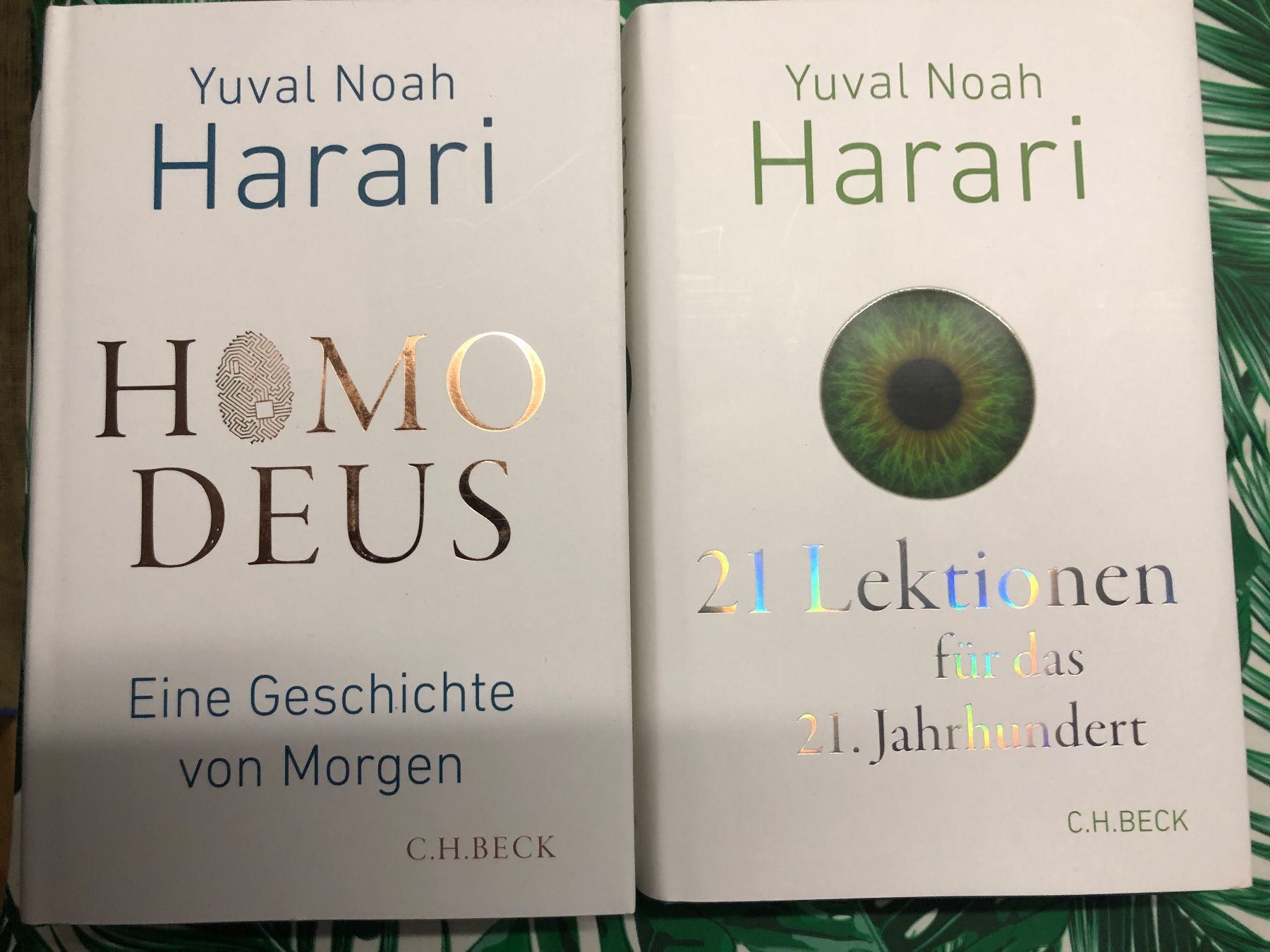Libri: 2 gebundene Bücher von Yuval Noah HARARI – Usato da Oberweningen venduto da Gerini
