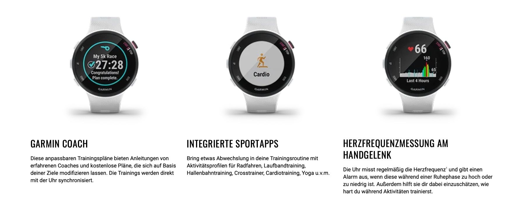 Garmin Smartwatch: Garmin Forerunner 45S – Usato da Kastanienbaum venduto da swi_8n56 3