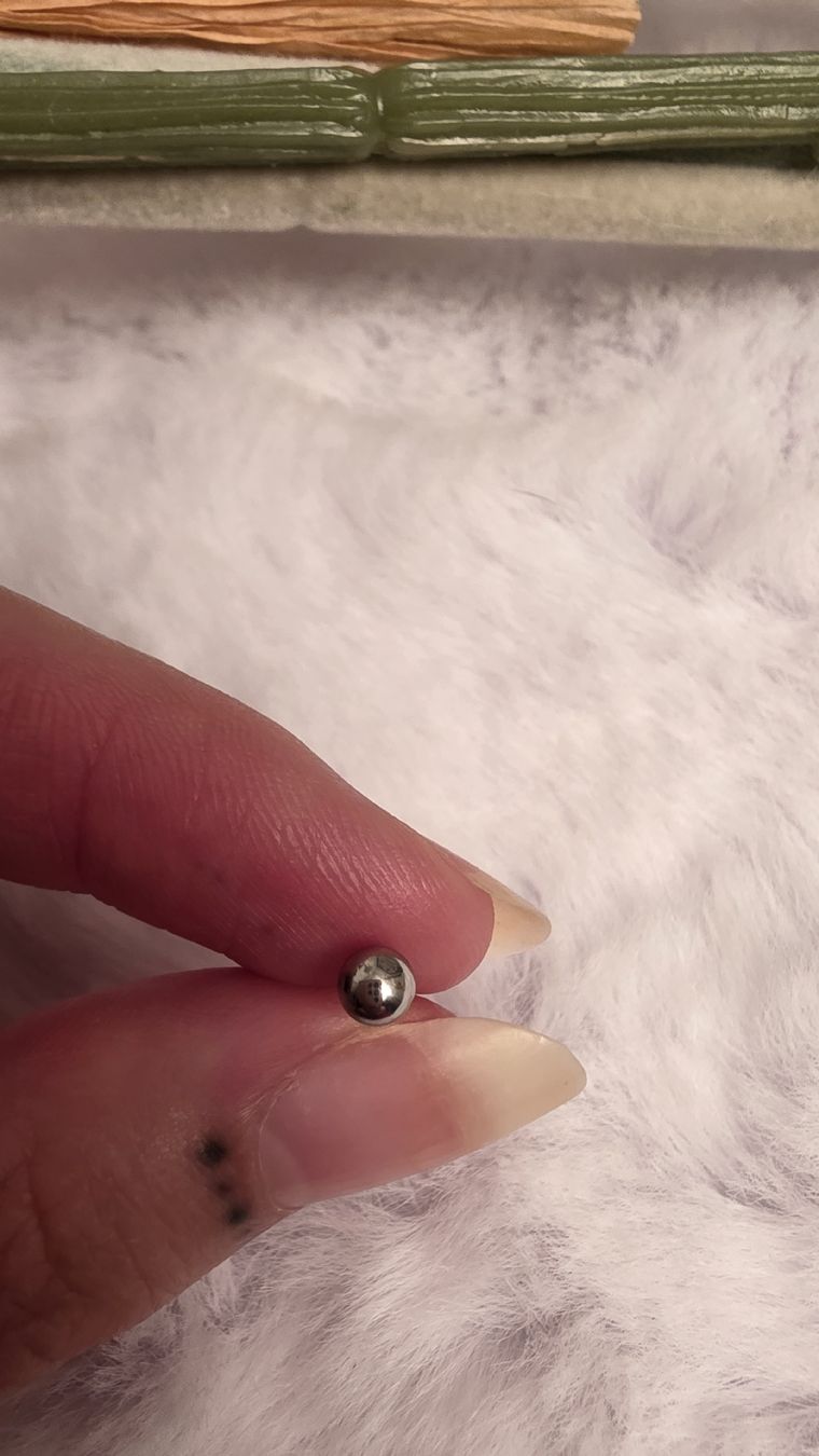 Piercingschmuck: 2 silberne Stecker – Neu (gemäss Beschreibung) aus Widen von kev_f5vk 1