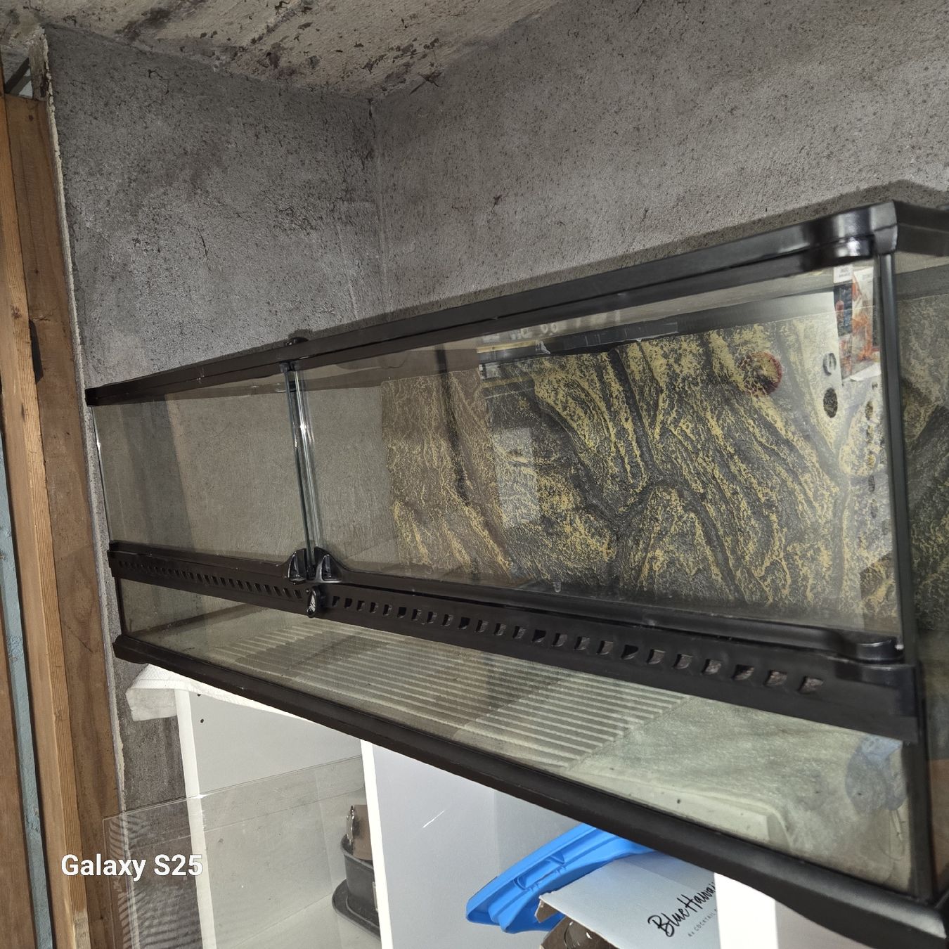 Terrariums: Terarrium – D'occasion à Kräiligen par gab_k8kf