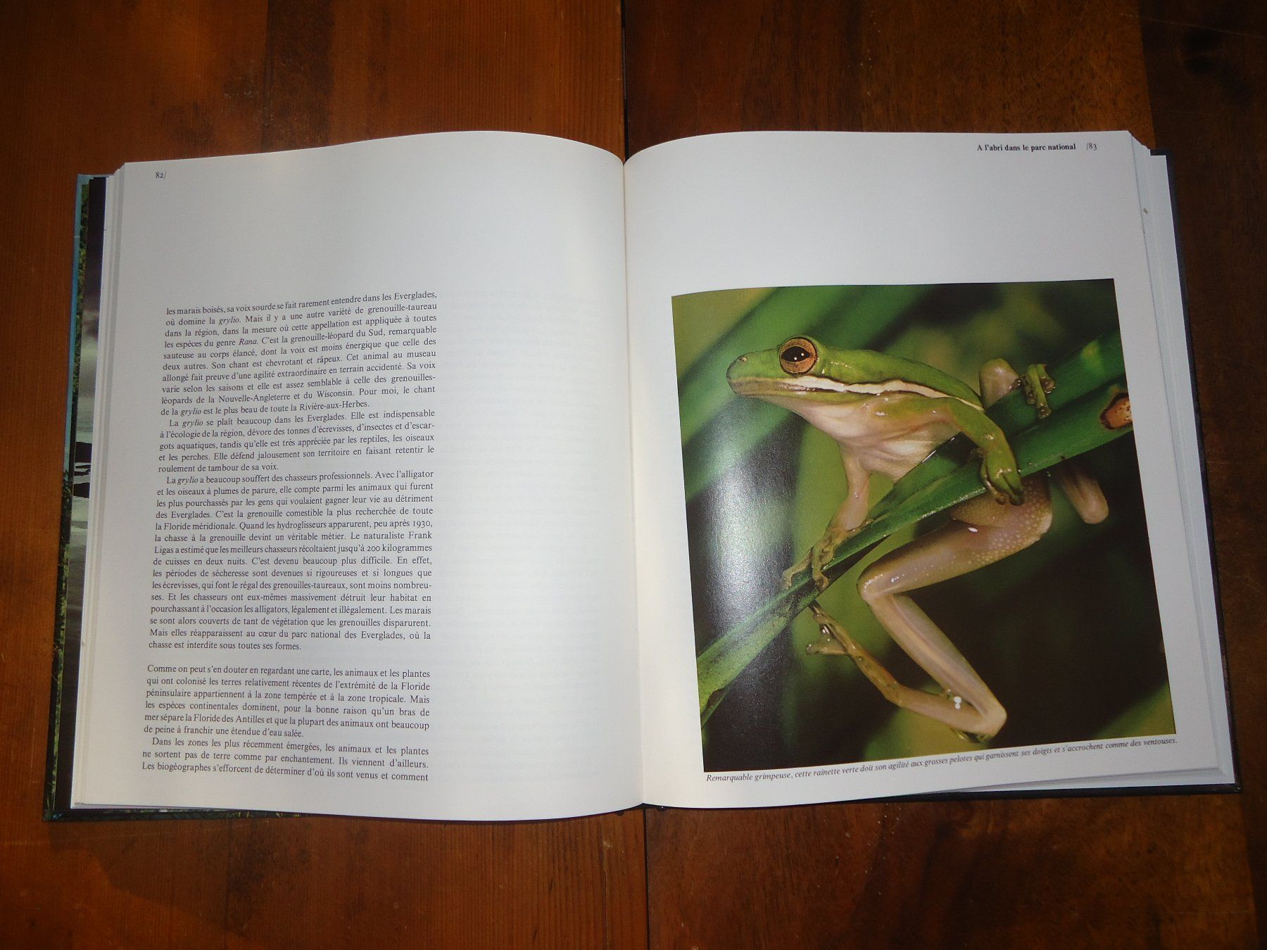 Libri: Les marais de Floride – Usato da Vessy venduto da bm.par 3