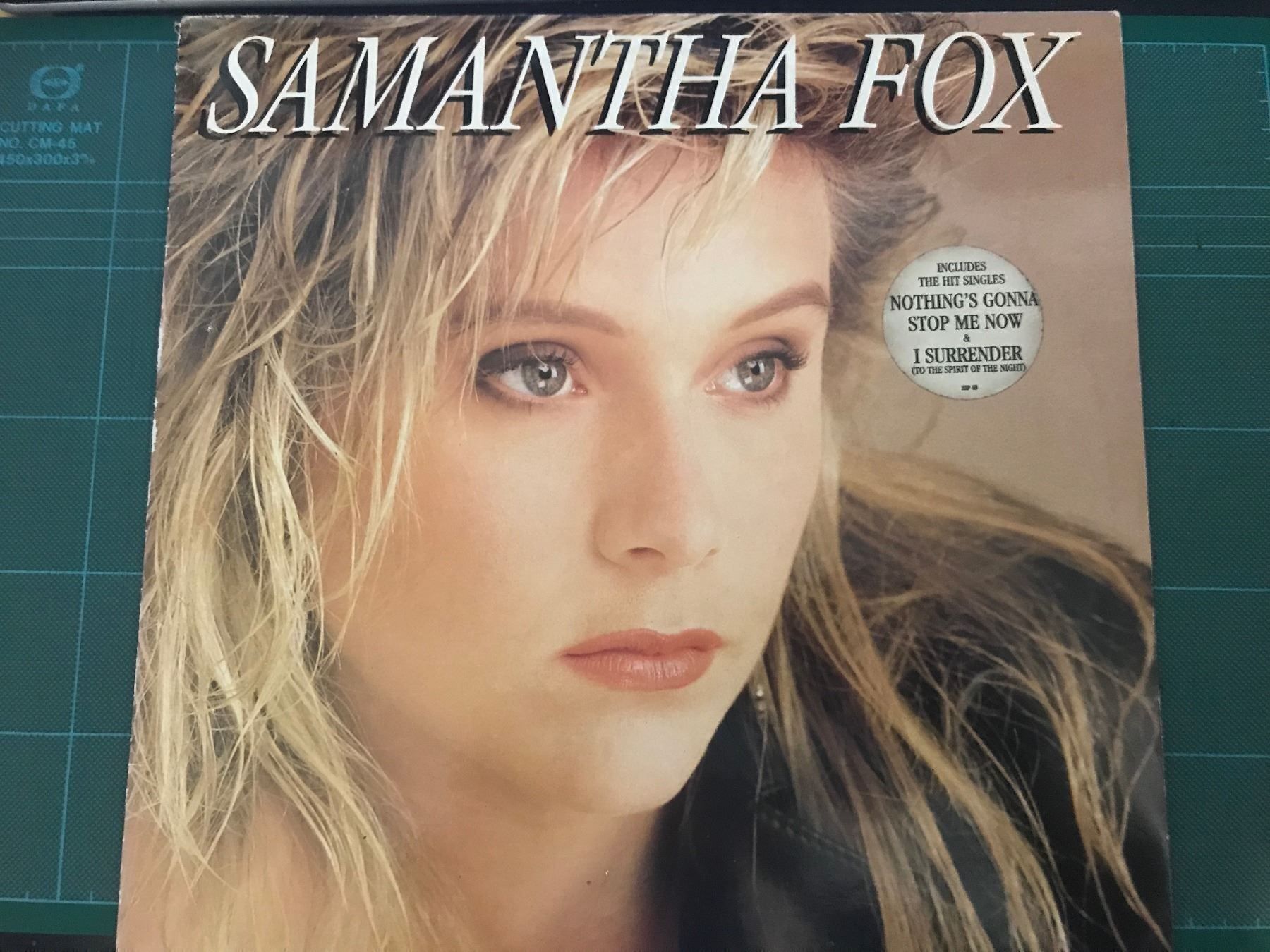 Dischi in vinile: Samantha Fox Schallplatte – Usato da Mörel venduto da Manolocana