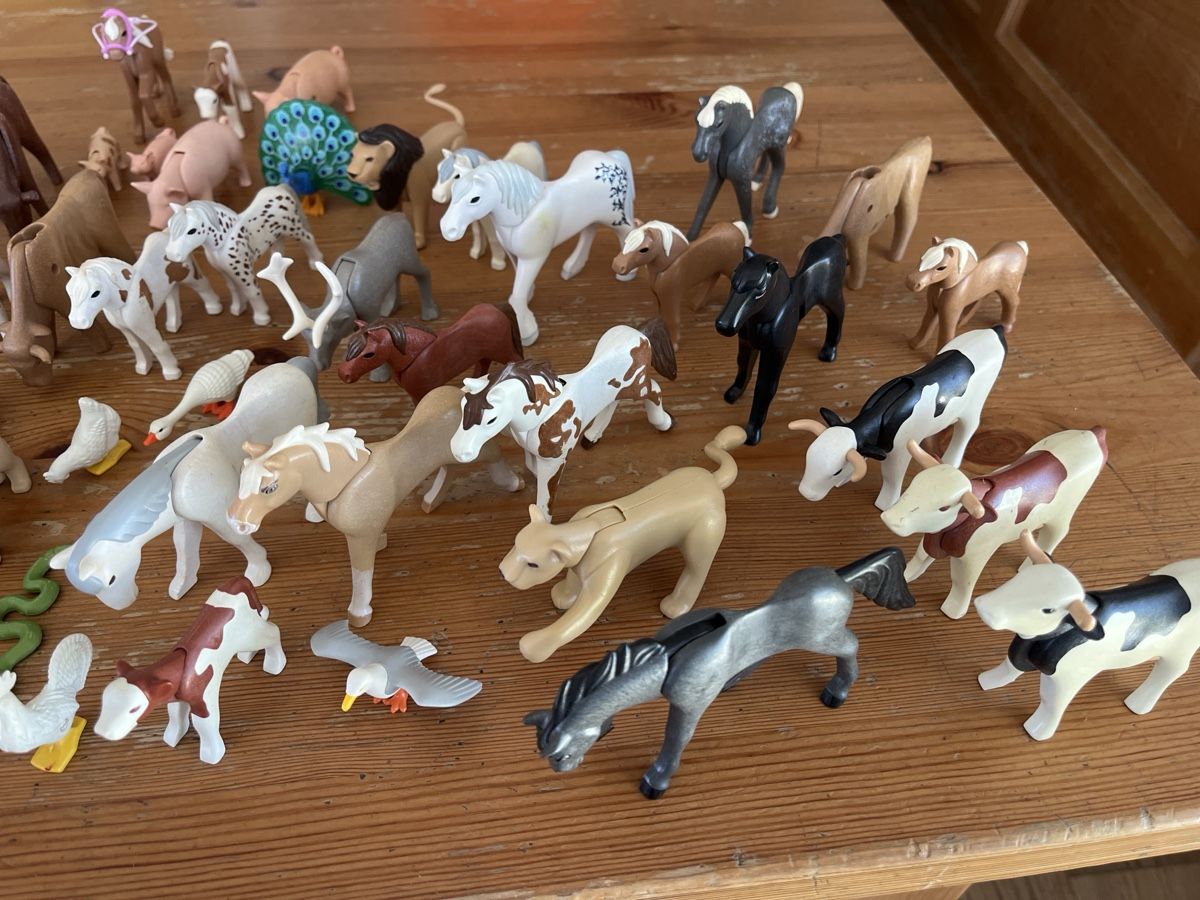 Giocattoli: Playmobil Tiere – Usato da Rickenbach LU venduto da Haefliger03 1
