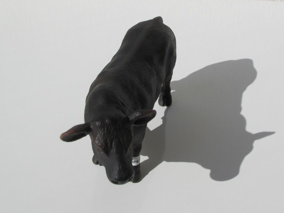 Schleich Figuren: Schleich 13766 Black Angus Bulle, Stier – Gebraucht aus Vilters von hedi00 6