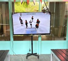 TV Ständer rollbar