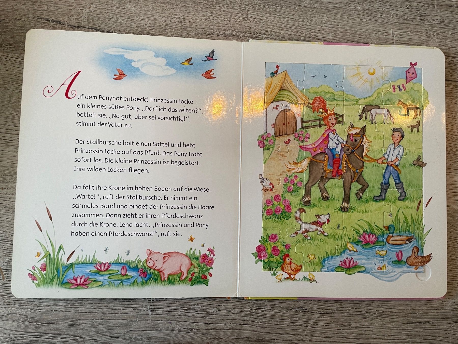 Libri: Puzzle Buch - Die kleine Prinzessin – Difettoso da Neftenbach venduto da Justine76 4