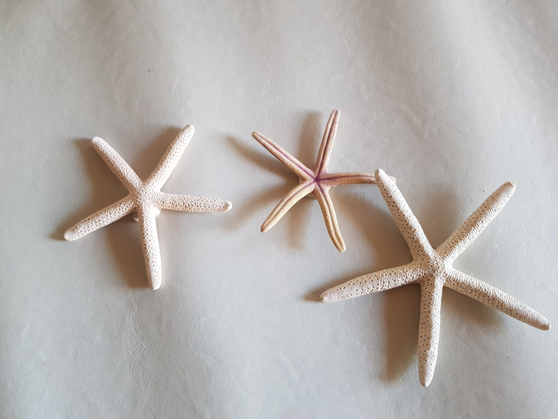 Alle Dekorationen: 3 Deko See Sterne Dekoration – Gebraucht aus Walterswil BE von Lonitti 2