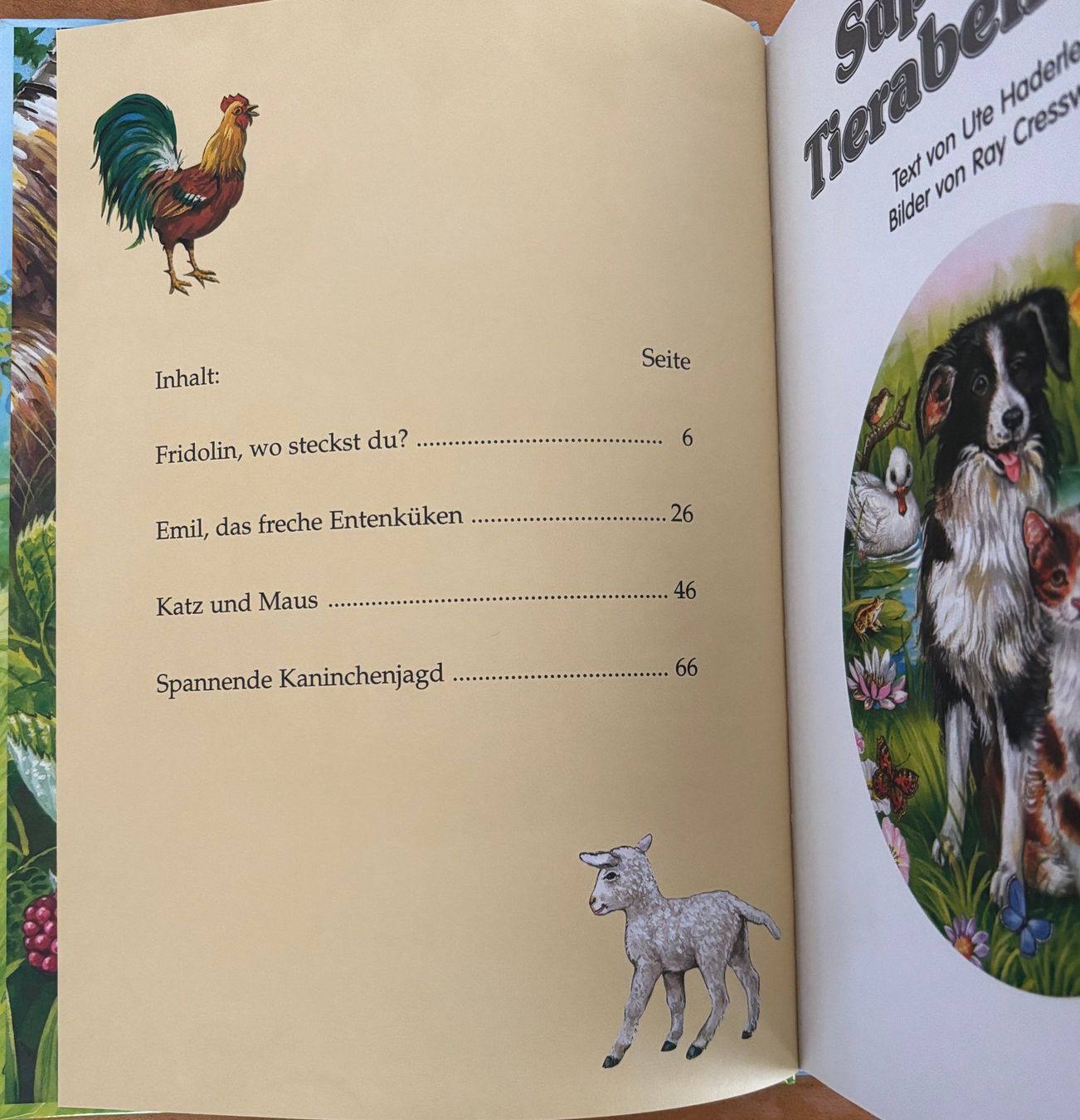 Libri: Supertolle Tierabenteuer – Nuovo (secondo la descrizione) da Sarnen venduto da Livres 2