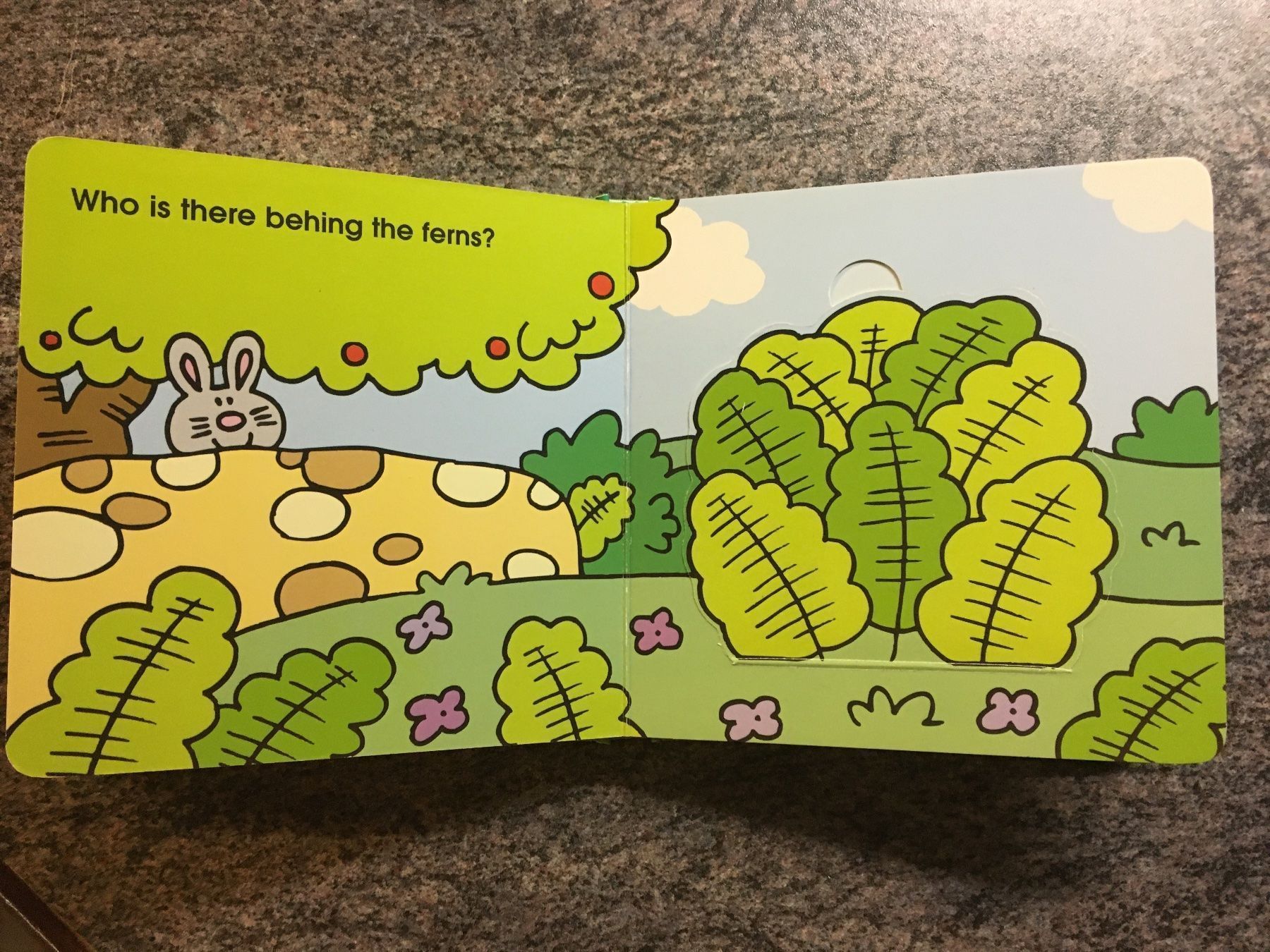 Libri: Kinder Bücher (Englisch) – Usato da Bauma venduto da Budgerigar 5