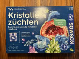 Lernspiel Experiment / Kristalle züchten 
