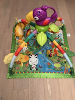 Fisherprice Spielbogen