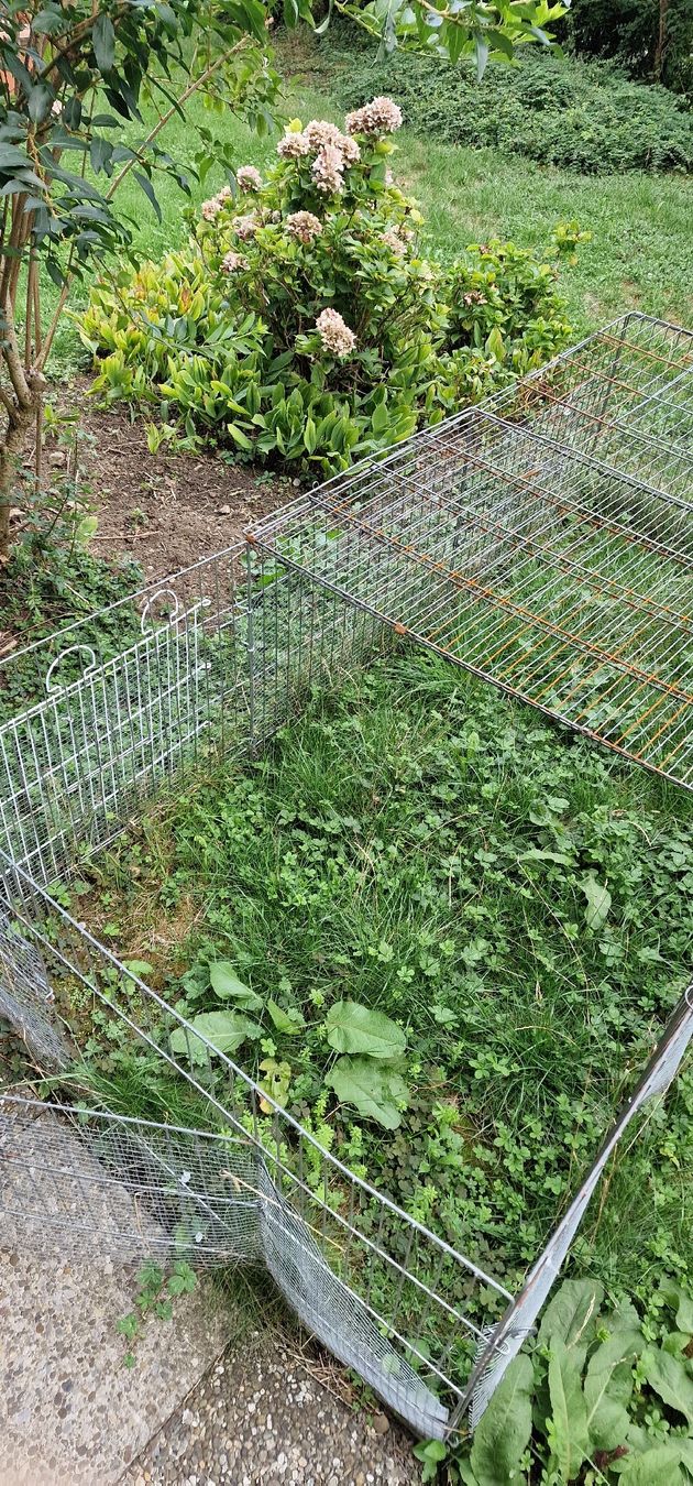 Käfige, Transport & Sicherheit: Freigehege Drahtkorb gebraucht gross – Gebraucht aus Romanshorn von REALJessiB 2