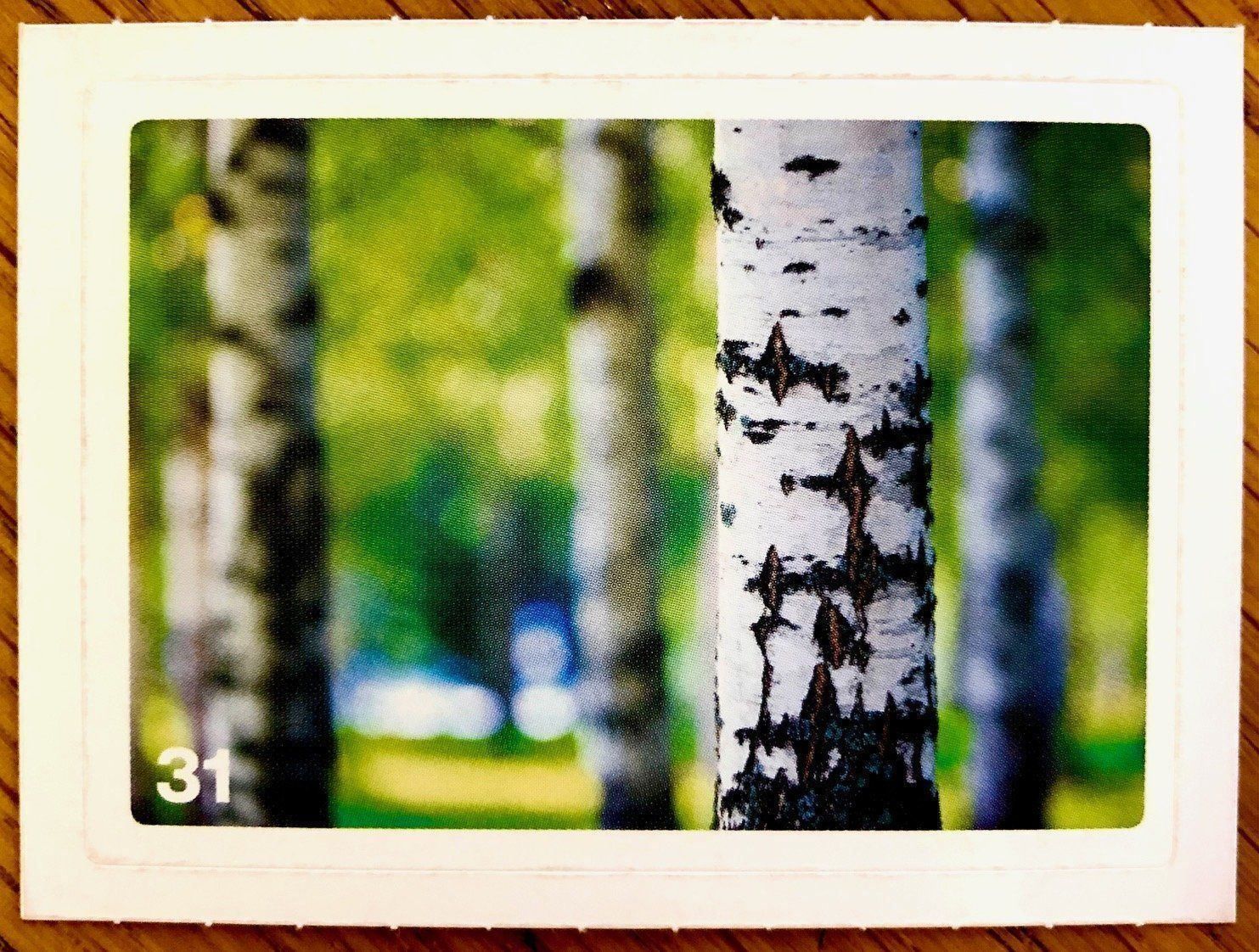 Migros Sammelbilder & Trading cards: Migros Nature Detectives - Bild Nr. 31 – Neu (gemäss Beschreibung) aus Oberrieden von Zimmerberg10