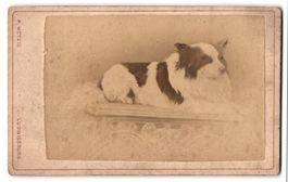 Fotografie R. Wetzig, Ludwigsburg, Stutt