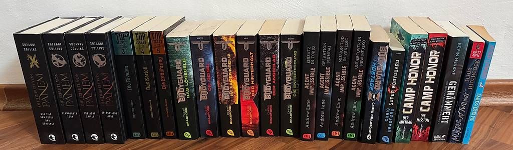 Libri: 24 Bücher, überweigend deutsche Thriller – Nuovo (secondo la descrizione) da Oberbipp venduto da lau_xyb2