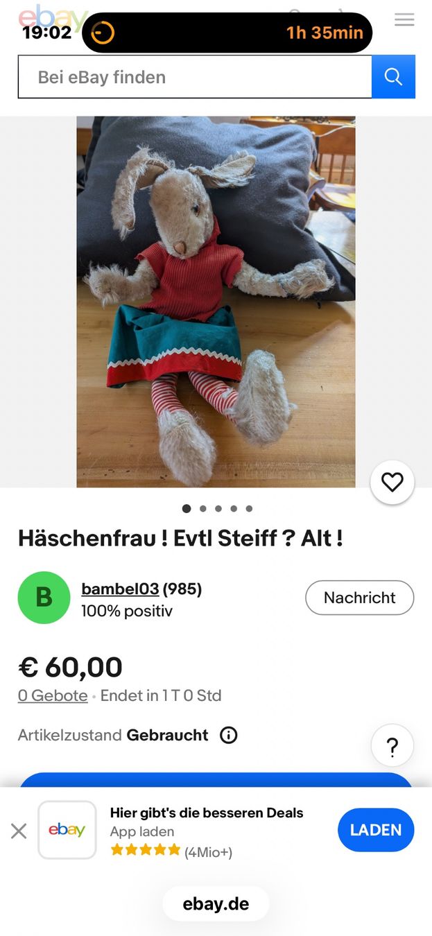Steiff Bambole: Hase, eventuell von Steiff, Vintage – Usato da Spiez venduto da Agenda01 2