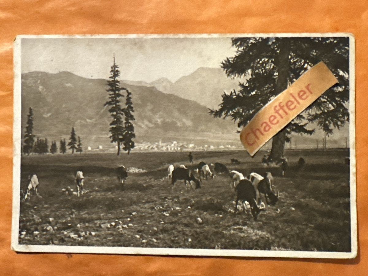Cartoline postali: Alte Ansichtskarte von Graubünden, ca. 1913, mit Ziegen – Usato da Zürich venduto da Chaeffeler