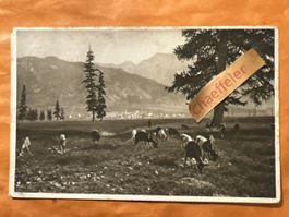Alte Ansichtskarte von Graubünden, ca. 1913, mit Ziegen