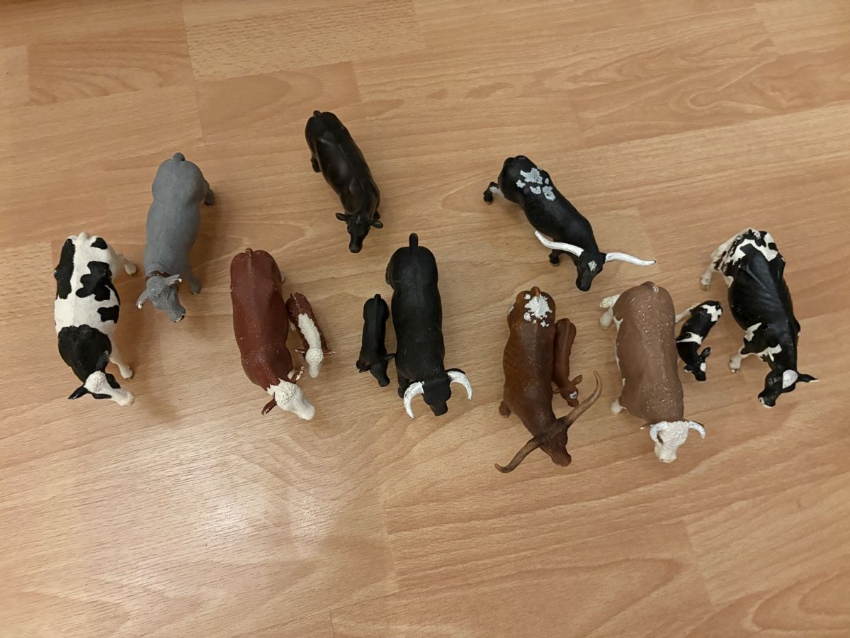 Schleich Spielzeuge: Schleichkühe und Kälbli  – Gebraucht aus Steffisburg von cornelia812