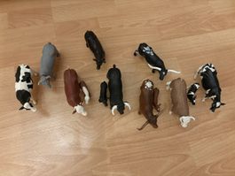 Schleichkühe und Kälbli 