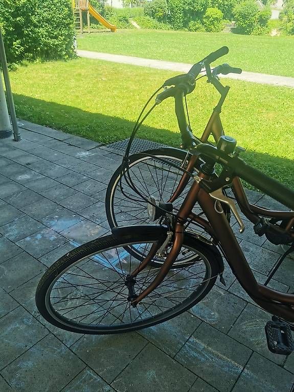 Velos: Damen-Velo – Gebraucht aus Buchrain von kristina.jxc 1